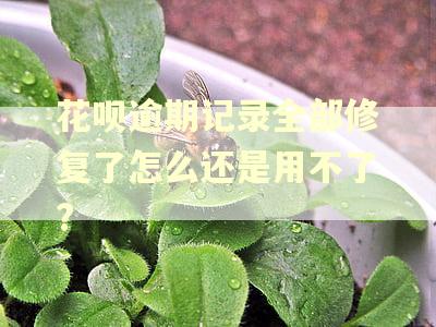 花呗逾期记录全部修复了怎么还是用不了?