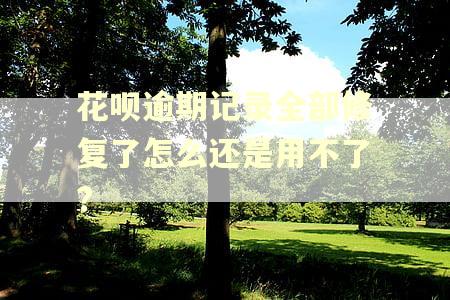 花呗逾期记录全部修复了怎么还是用不了? 花呗逾期记录全部修复了怎么还是用不了?