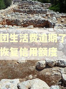 美团生活费逾期了怎么恢复信用额度