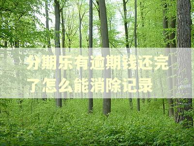 分期乐有逾期钱还完了怎么能消除记录