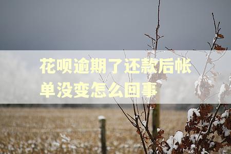 花呗逾期了还款后帐单没变怎么回事