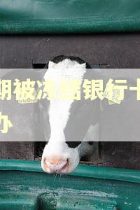 逾期被冻结银行卡怎么办 逾期被冻结银行卡怎么办