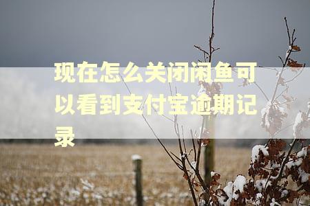 现在怎么关闭闲鱼可以看到支付宝逾期记录
