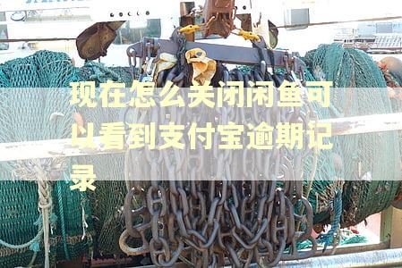 现在怎么关闭闲鱼可以看到支付宝逾期记录