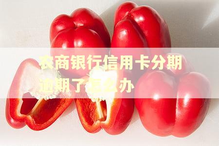 农商银行信用卡分期逾期了怎么办