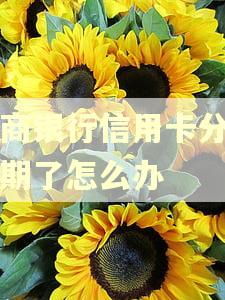 农商银行信用卡分期逾期了怎么办