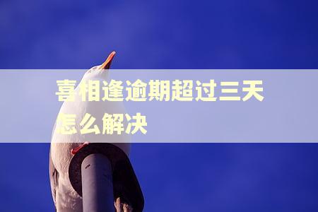 喜相逢逾期超过三天怎么解决