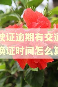 驾驶证逾期有交通事故换证时间怎么算