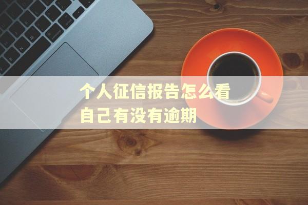 个人征信报告怎么看自己有没有逾期