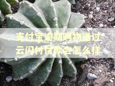 支付宝逾期购物通过云闪付付款会怎么样 支付宝逾期购物通过云闪付付款会怎么样