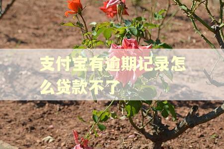 支付宝有逾期记录怎么贷款不了
