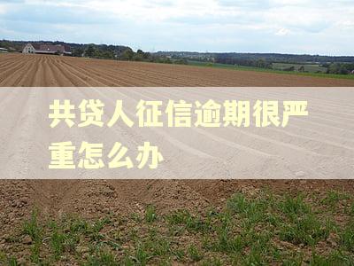 共贷人征信逾期很严重怎么办