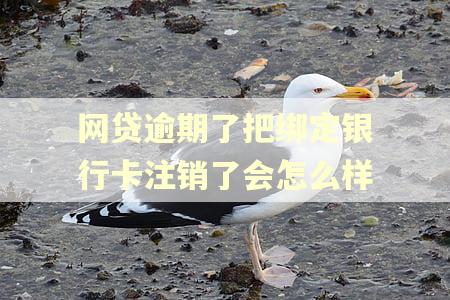 网贷逾期了把绑定银行卡注销了会怎么样