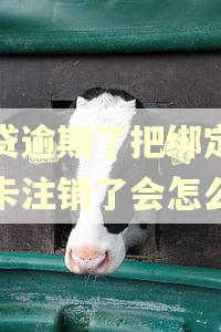 网贷逾期了把绑定银行卡注销了会怎么样 网贷逾期了把绑定银行卡注销了会怎么样