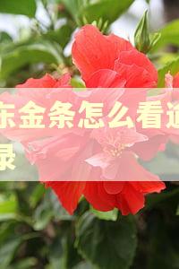 京东金条怎么看逾期记录