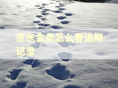 京东金条怎么看逾期记录
