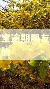 支付宝逾期朋友怎么知道的