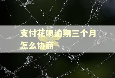 支付花呗逾期三个月怎么协商