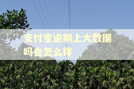 支付宝逾期上大数据吗会怎么样