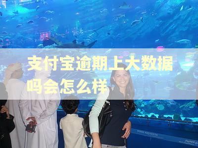 支付宝逾期上大数据吗会怎么样