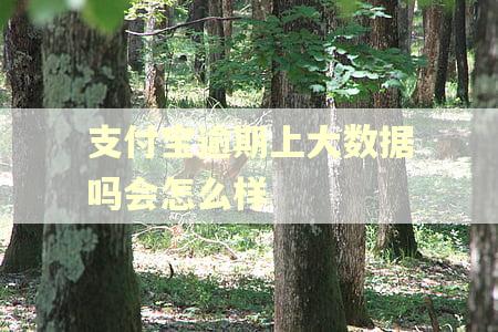 支付宝逾期上大数据吗会怎么样