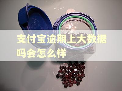 支付宝逾期上大数据吗会怎么样 支付宝逾期上大数据吗会怎么样