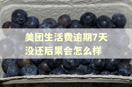 美团生活费逾期7天没还后果会怎么样