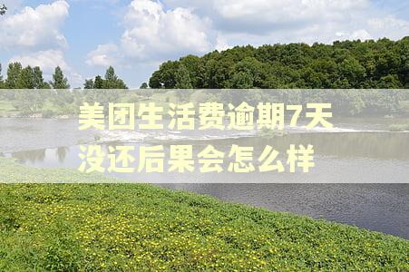 美团生活费逾期7天没还后果会怎么样