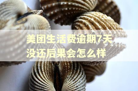 美团生活费逾期7天没还后果会怎么样