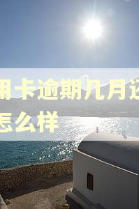信用卡逾期几月还了会怎么样 信用卡逾期几月还了会怎么样