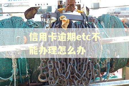 信用卡逾期etc不能办理怎么办