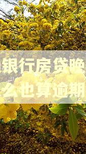 交通银行房贷晚一天还怎么也算逾期了 交通银行房贷晚一天还怎么也算逾期了