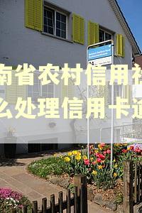 云南省农村信用社是怎么处理信用卡逾期的