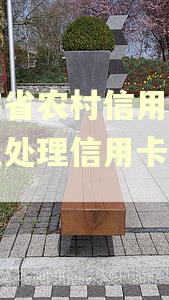 云南省农村信用社是怎么处理信用卡逾期的