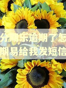我分期乐逾期了怎么分期易给我发短信