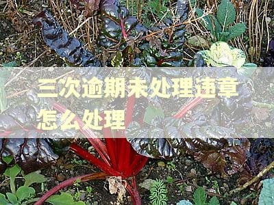 三次逾期未处理违章怎么处理