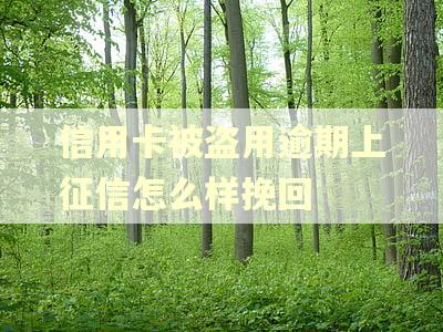 信用卡被盗用逾期上征信怎么样挽回 信用卡被盗用逾期上征信怎么样挽回