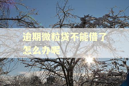 逾期微粒贷不能借了怎么办呢