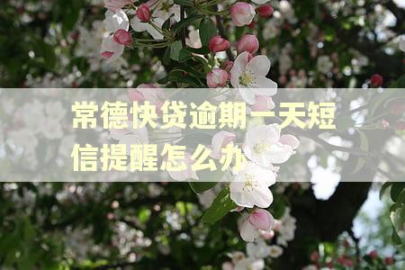 常德快贷逾期一天短信提醒怎么办