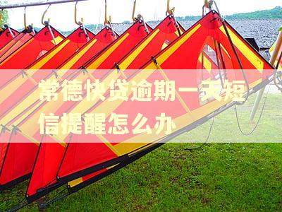 常德快贷逾期一天短信提醒怎么办