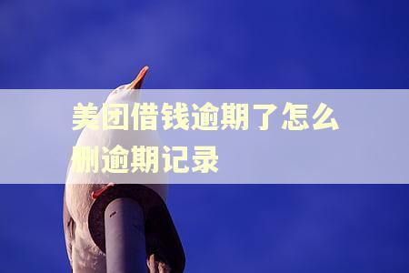 美团借钱逾期了怎么删逾期记录