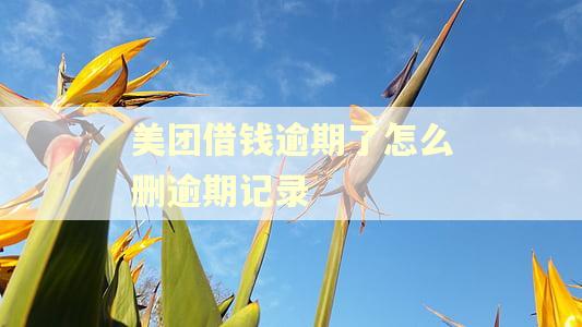 美团借钱逾期了怎么删逾期记录 美团借钱逾期了怎么删逾期记录