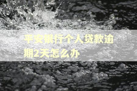 平安银行个人贷款逾期2天怎么办