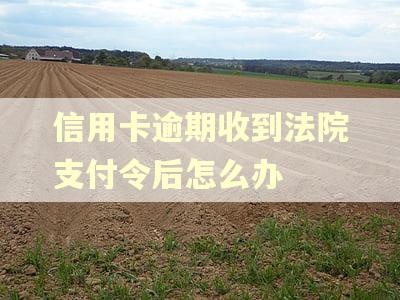 信用卡逾期收到法院支付令后怎么办