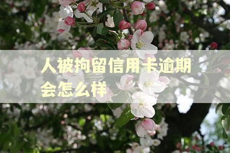 人被拘留信用卡逾期会怎么样