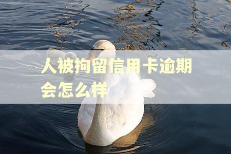 人被拘留信用卡逾期会怎么样
