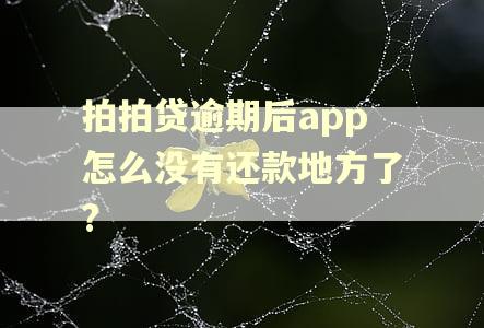 拍拍贷逾期后app怎么没有还款地方了?