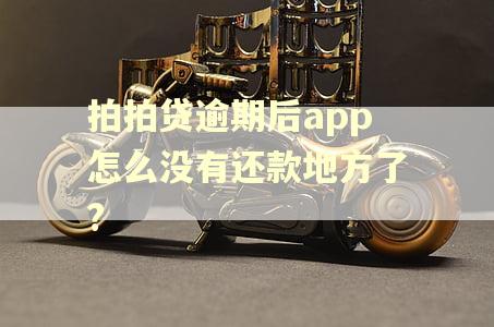 拍拍贷逾期后app怎么没有还款地方了?