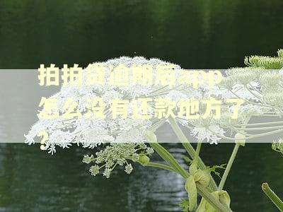 拍拍贷逾期后app怎么没有还款地方了?