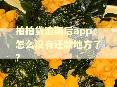 拍拍贷逾期后app怎么没有还款地方了?